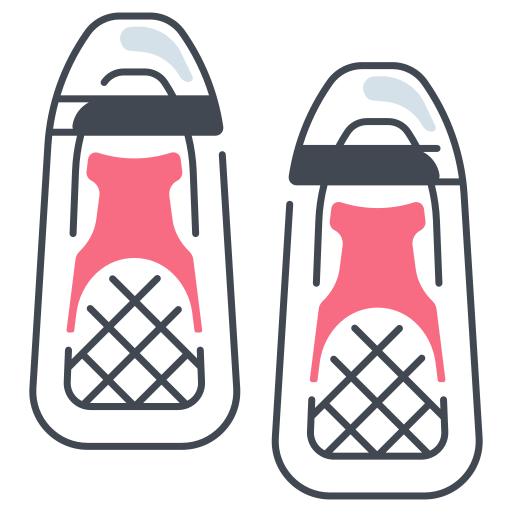 Snowshoes Generic color fill icon