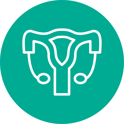 sistema reproductivo Generic color fill icono