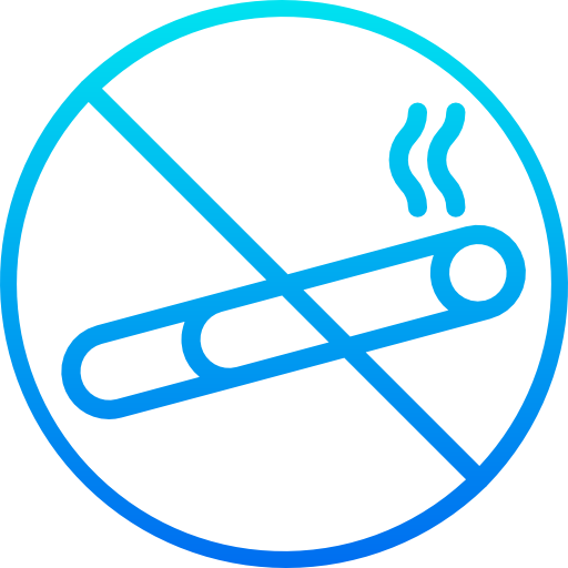 vietato fumare srip Gradient icona