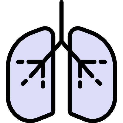pulmões srip Lineal Color Ícone