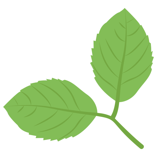 Leaves Generic color fill icon