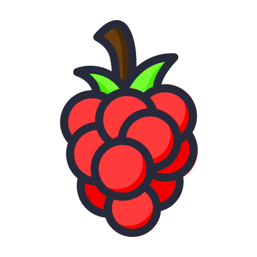 Raspberry Generic color lineal-color icon