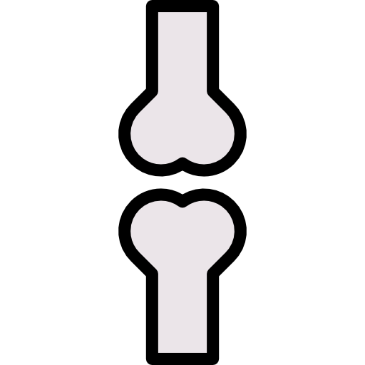 huesos srip Lineal Color icono