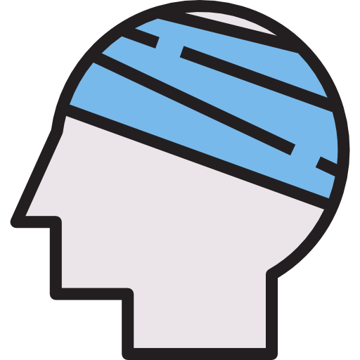 głowa srip Lineal Color ikona