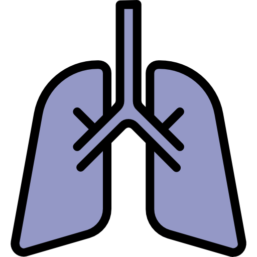 肺 srip Lineal Color icon