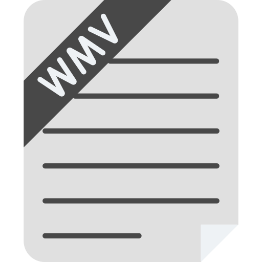 wmv-datei Generic color fill icon