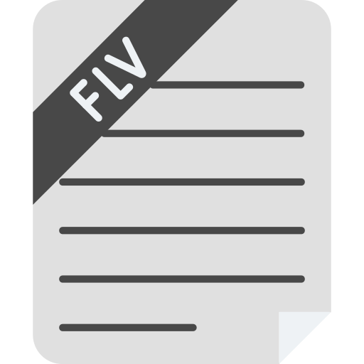 flv-datei Generic color fill icon