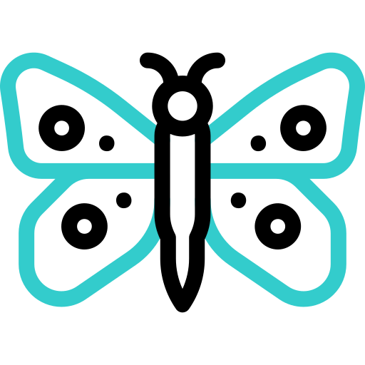 vlinder Basic Accent Outline icoon