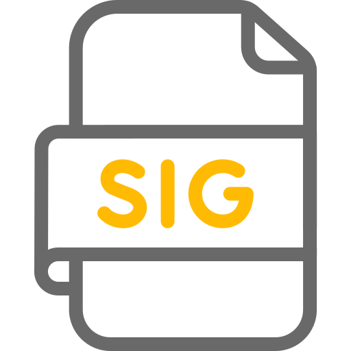 Sig Generic color outline icon