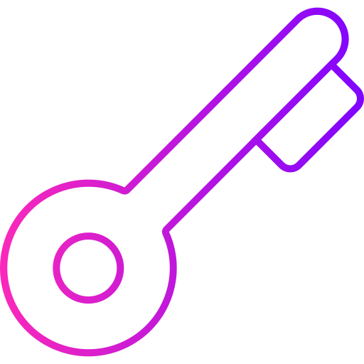 Key Generic gradient outline icon