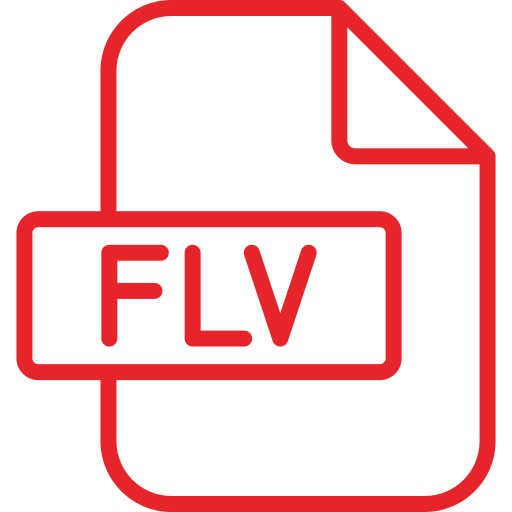 flv Generic color outline icon