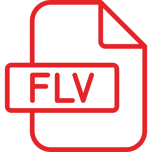 Flv Generic color outline icon