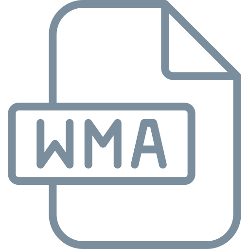 Wma Generic color outline icon