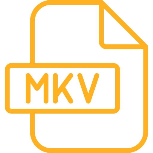 mkv Generic color outline icon