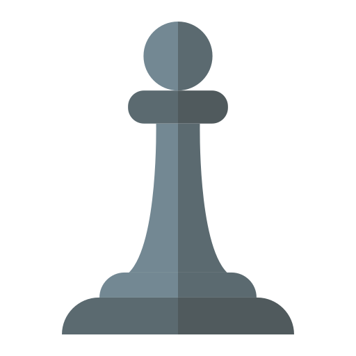 schach Generic color fill icon