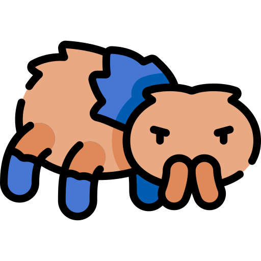 Tarantula Kawaii Lineal color icon