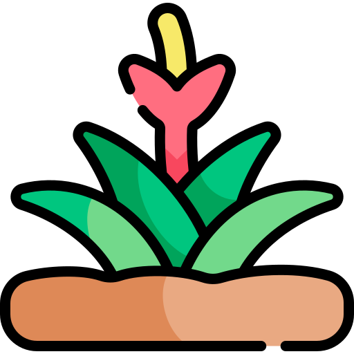 Bromeliad Kawaii Lineal color icon