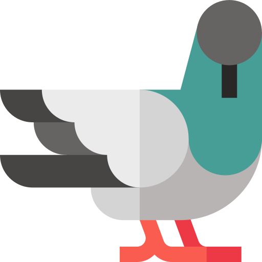 pigeon Basic Straight Flat Icône