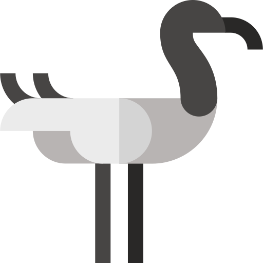 ibis Basic Straight Flat icono