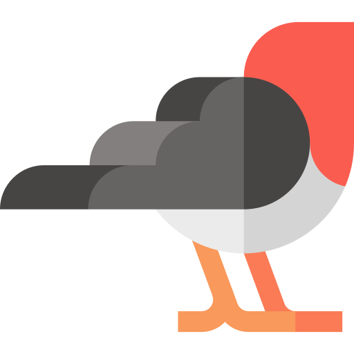 robin Basic Straight Flat icon