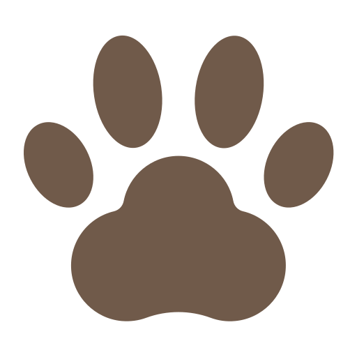 Footprint Generic color fill icon