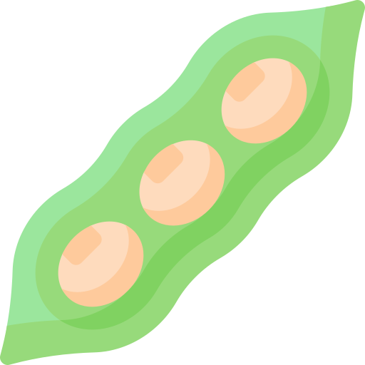 Soya Special Flat icon
