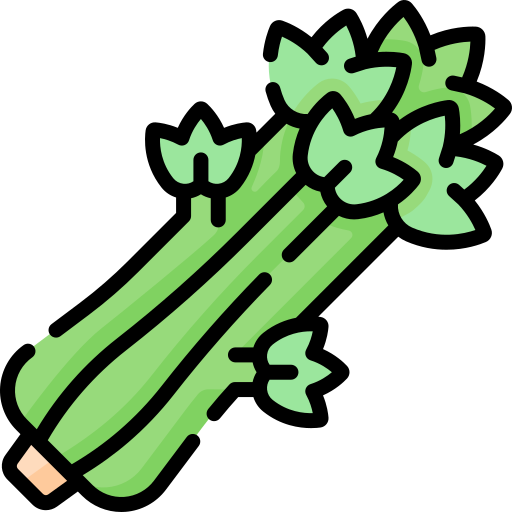 celery Special Lineal color icon