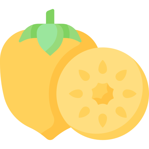 柿 Special Flat icon