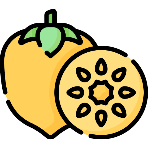 Persimmon Special Lineal color icon
