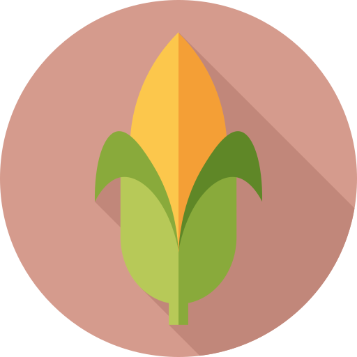 옥수수 Flat Circular Flat icon
