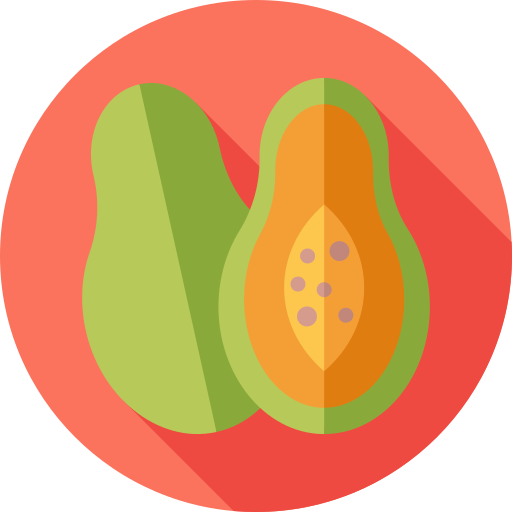 papaya Flat Circular Flat icon