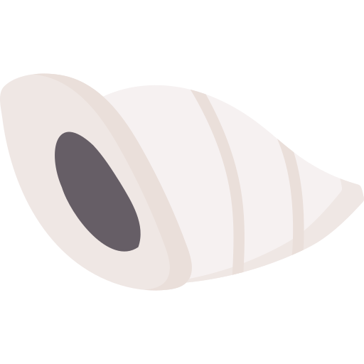 conch Special Flat icon