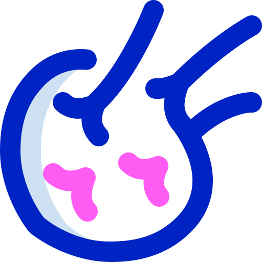 Kohlrabi Super Basic Orbit Color icon