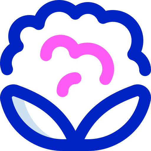 Cauliflower Super Basic Orbit Color icon