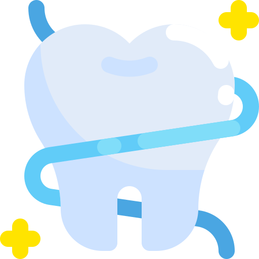 Floss Generic color fill icon