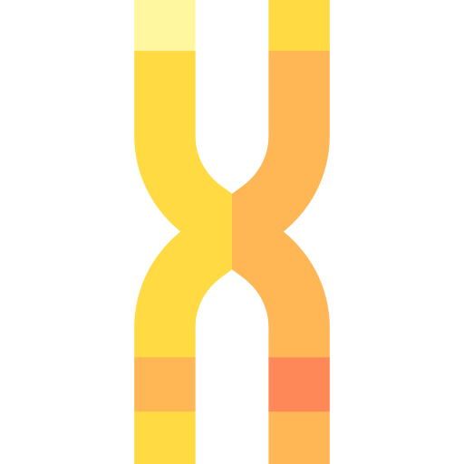 cromossoma Basic Straight Flat Ícone