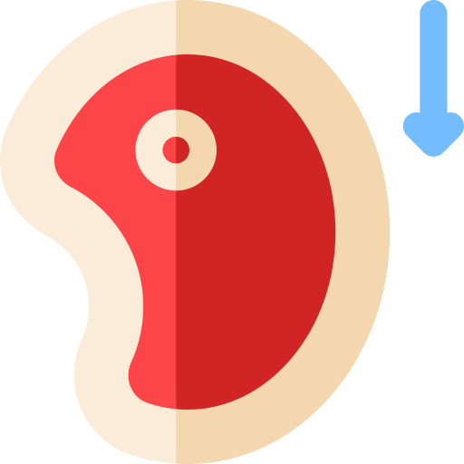 肉 Basic Rounded Flat icon