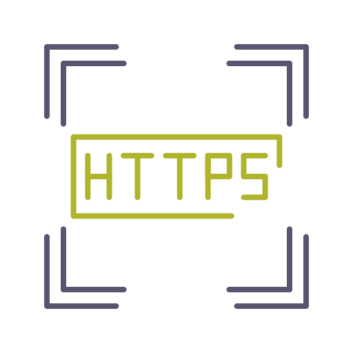 https Generic color outline icon