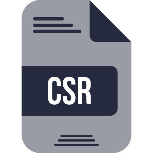 csr 파일 Generic color fill icon
