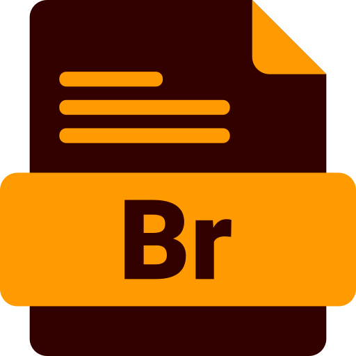 BR Generic color fill icon