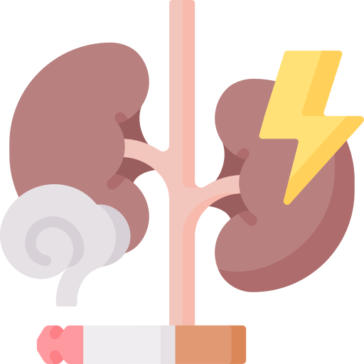 Kidneys Special Flat icon