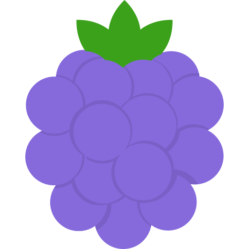 Raspberries Generic color fill icon