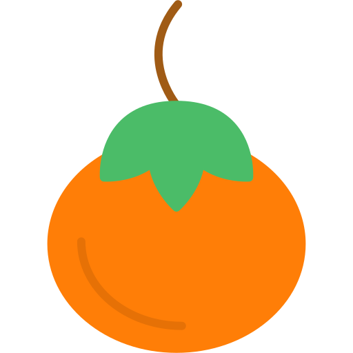 柿 Generic color fill icon