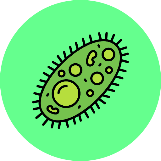 細菌 Generic color lineal-color icon