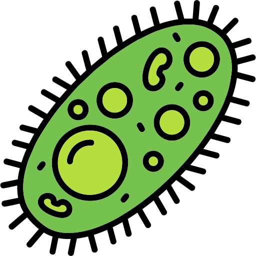 Bacteria Generic color lineal-color icon