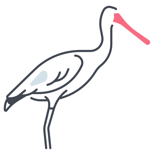 Spoonbill Generic color lineal-color icon