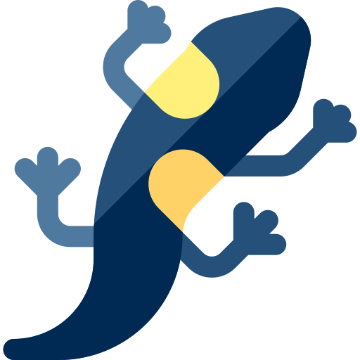 salamandra Basic Rounded Flat icono
