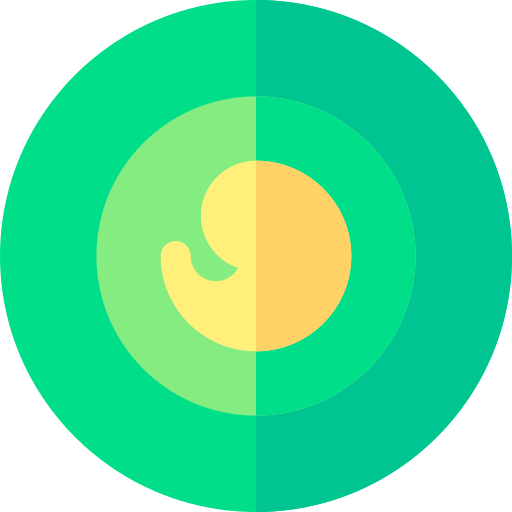 embrione Basic Rounded Flat icona