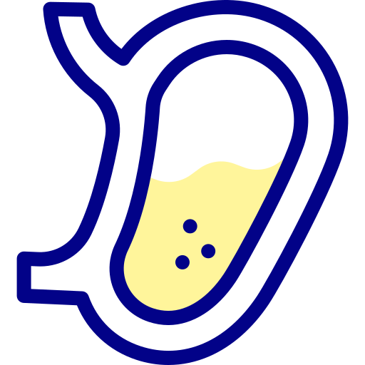 Stomach Detailed Mixed Lineal color icon