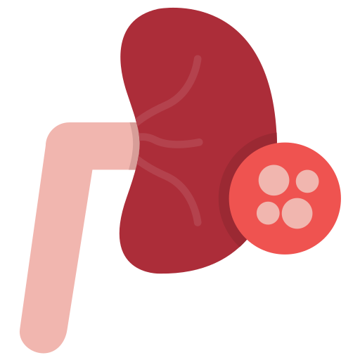 Kidneys Generic color fill icon